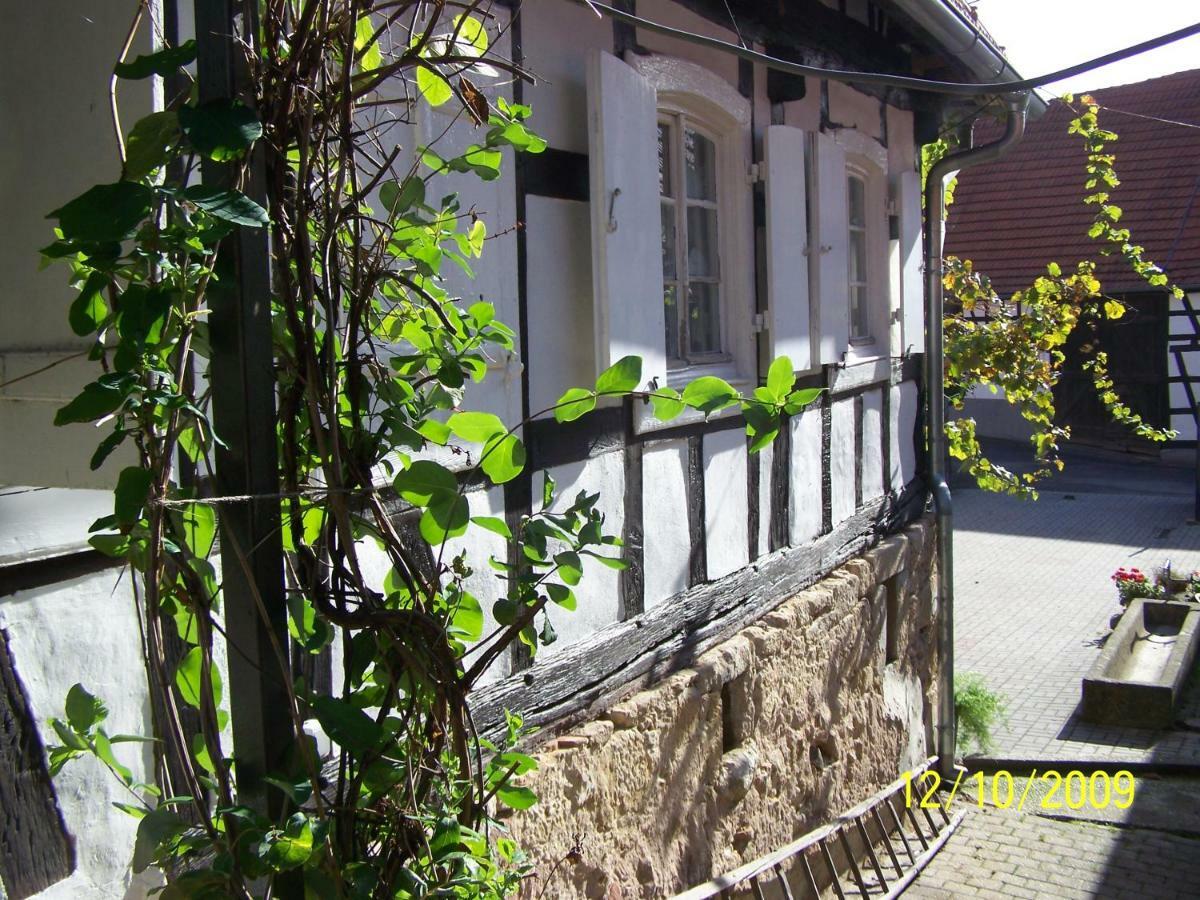 Chambres D'Hotes Sabine Billmann Hunspach Kültér fotó