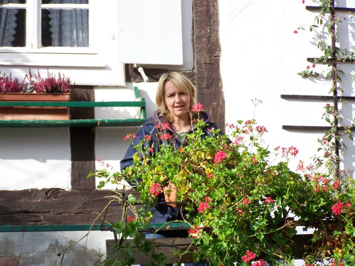 Chambres D'Hotes Sabine Billmann Hunspach Kültér fotó